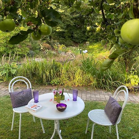 Ferienwohnung In Historischer Villa Mit Gartennutzung Furth im Wald Extérieur photo