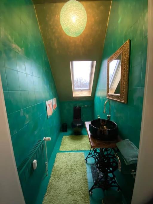 Ferienwohnung In Historischer Villa Mit Gartennutzung Furth im Wald Extérieur photo